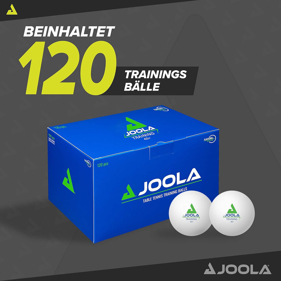 JOOLA 21128 Tischtennis Ball Fangnetz iPong TT Buddy für Tischtennis Roboter - Tischtennisball Auffa