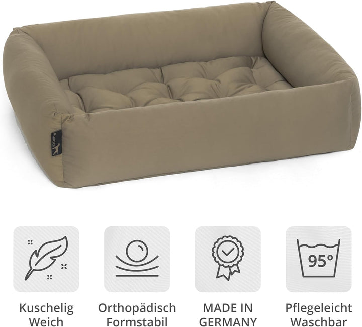 Doctor Bark Pointer | Hundebett mit Hundekissen - orthopädisch, waschbar, bequem (M - 70x60 cm, Beig