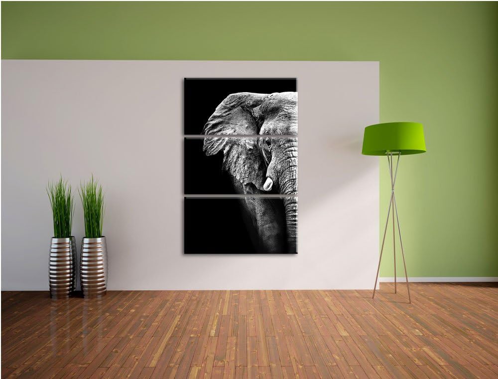 Pixxprint Elefant Porträt als Leinwandbild/Grösse: 3 Teilig (120x80) cm/Wandbild/Kunstdruck/fertig b
