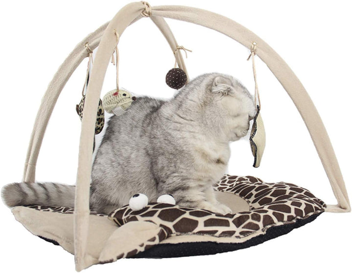 Katzen Spielmatte Schlafmatte gepolstertem Zelt – Indoor Kuschelbett rutschfeste Unterlage mit hänge
