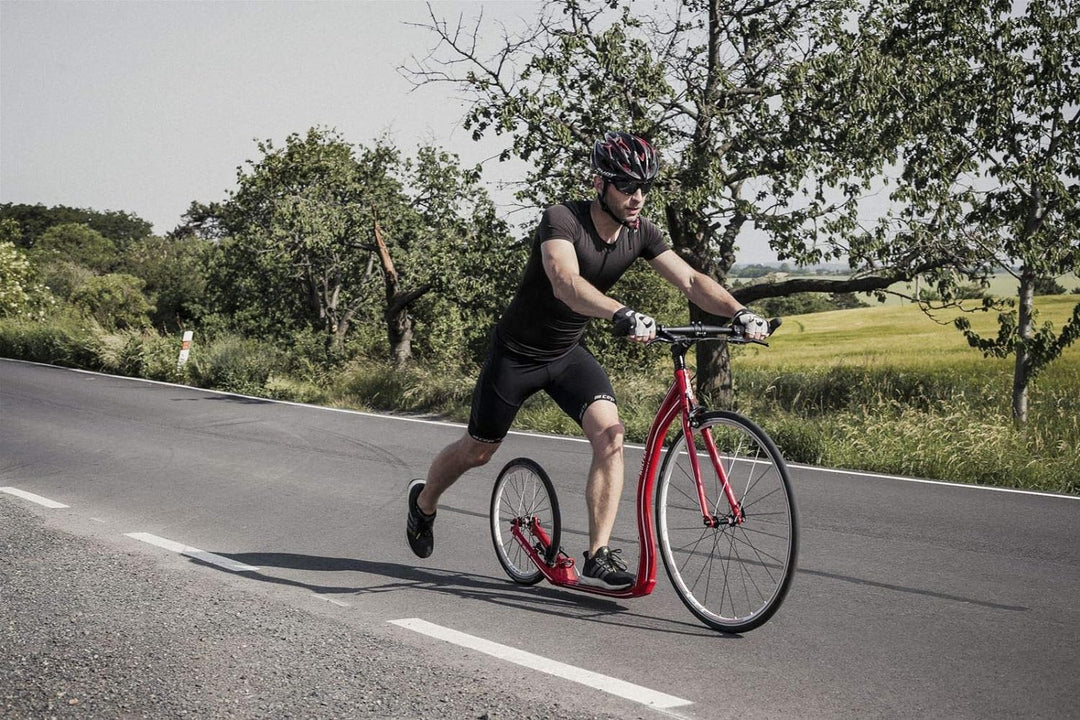 Yedoo Wolfer Tretroller - bis 120 kg, Kickscooter mit Luftreifen 28/20 - Scooter Roller für Erwachse