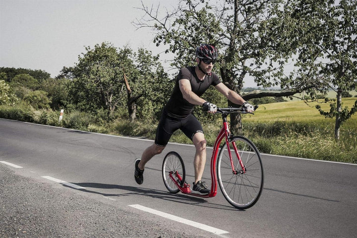 Yedoo Wolfer Tretroller - bis 120 kg, Kickscooter mit Luftreifen 28/20 - Scooter Roller für Erwachse