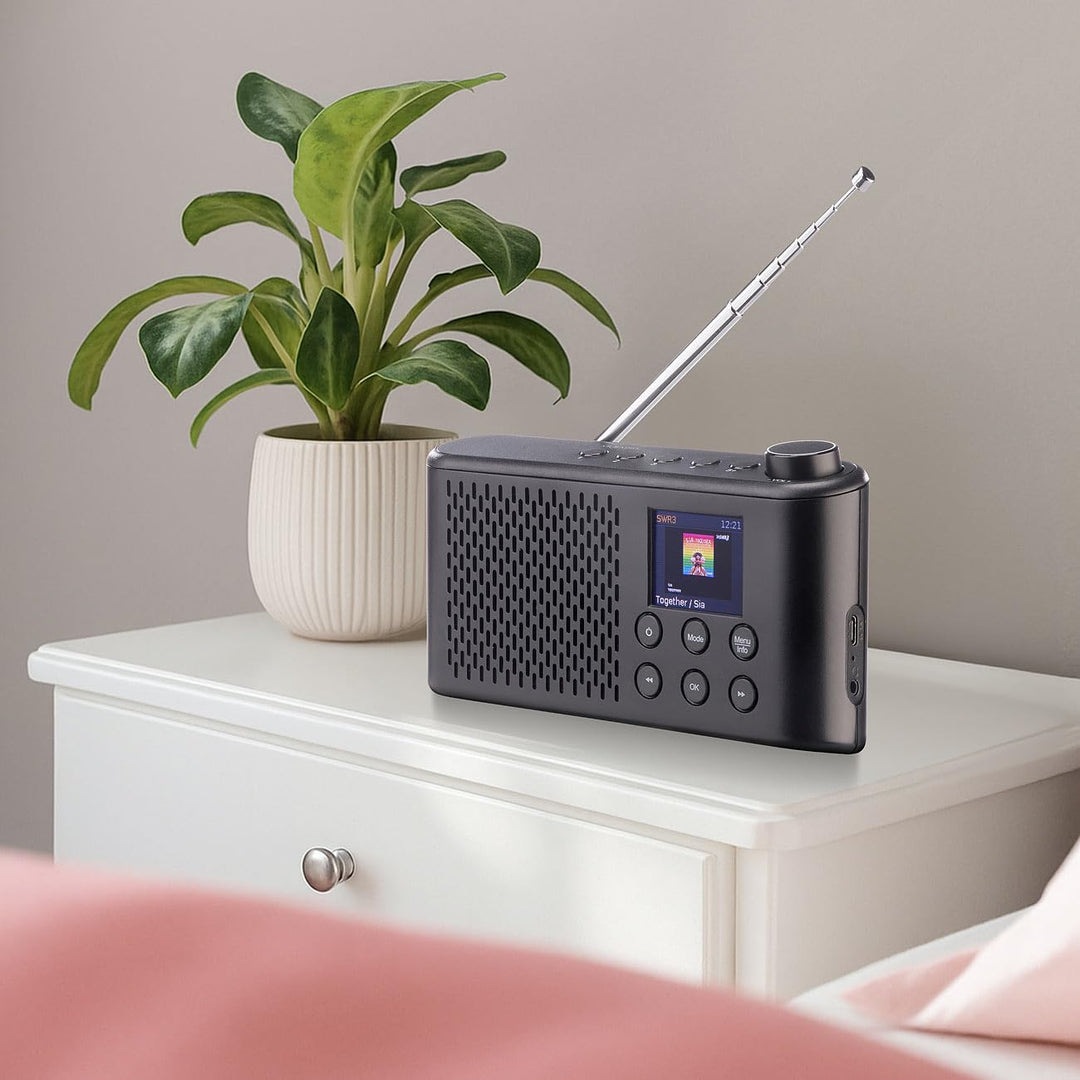VR-Radio Akku Radio: 2er-Set Mobiles Akku-Digitalradio mit DAB+/FM, Farbdisplay, Bluetooth (Mobile D
