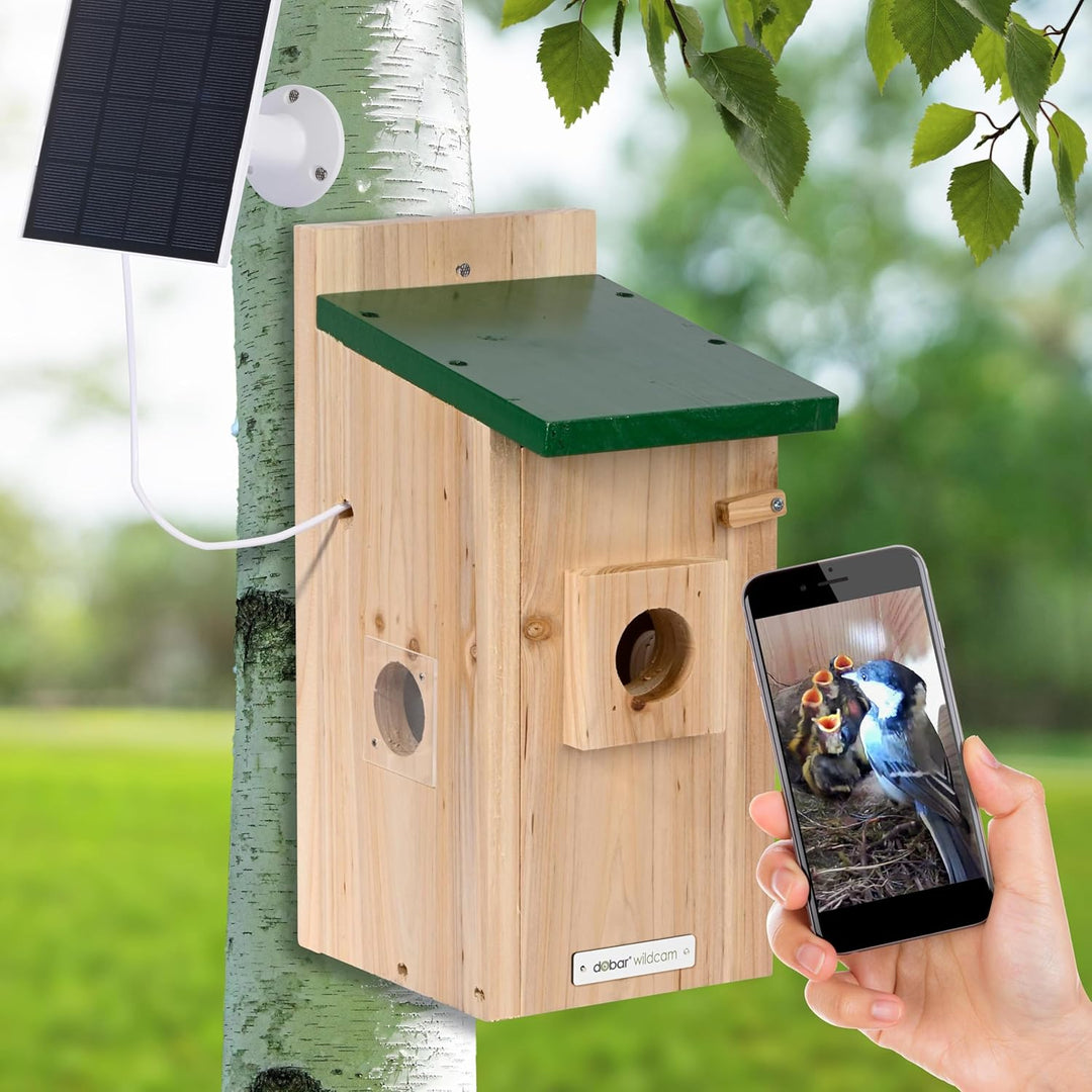 Luxus-VOGELHAUS Nistkasten Eazy mit WiFi Kamera und Solar Panel - Vogelbeobachtung mit Nisthilfe aus