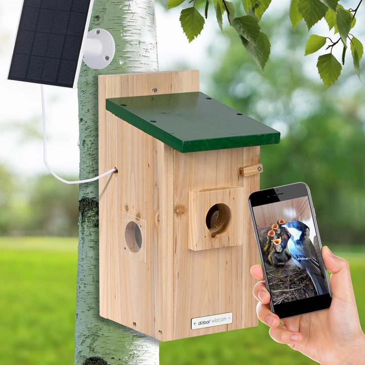 Luxus-VOGELHAUS Nistkasten Eazy mit WiFi Kamera und Solar Panel - Vogelbeobachtung mit Nisthilfe aus