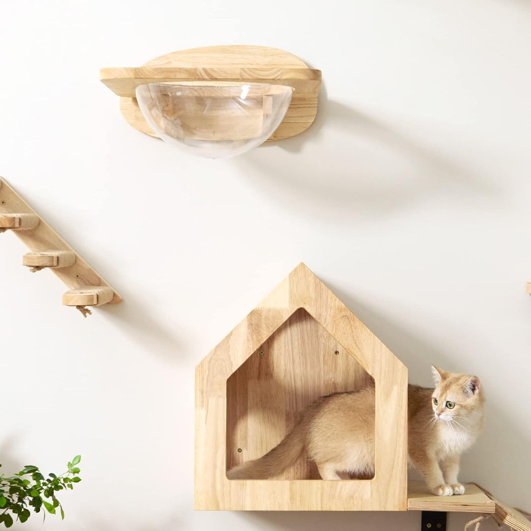 FUKUMARU Kletterwand Katzen, Transparente Raumkapsel mit 2 Pedalen als Katzenwandmöbel Set, aus Mass