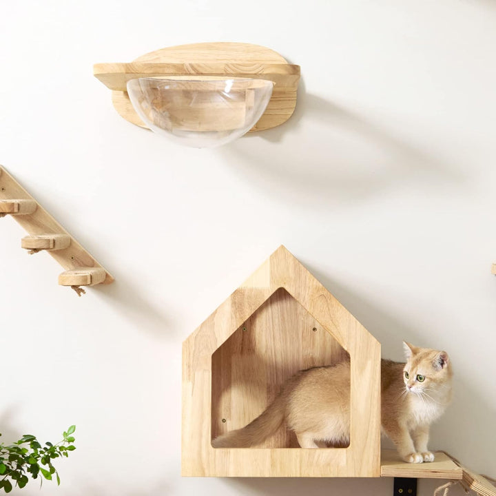 FUKUMARU Kletterwand Katzen, Transparente Raumkapsel mit 2 Pedalen als Katzenwandmöbel Set, aus Mass