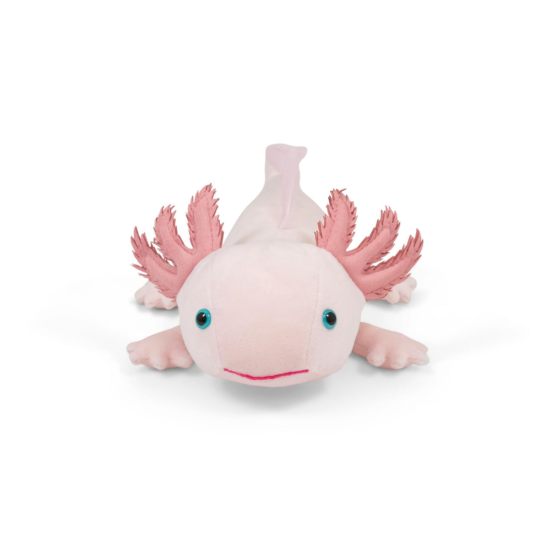Axolotl