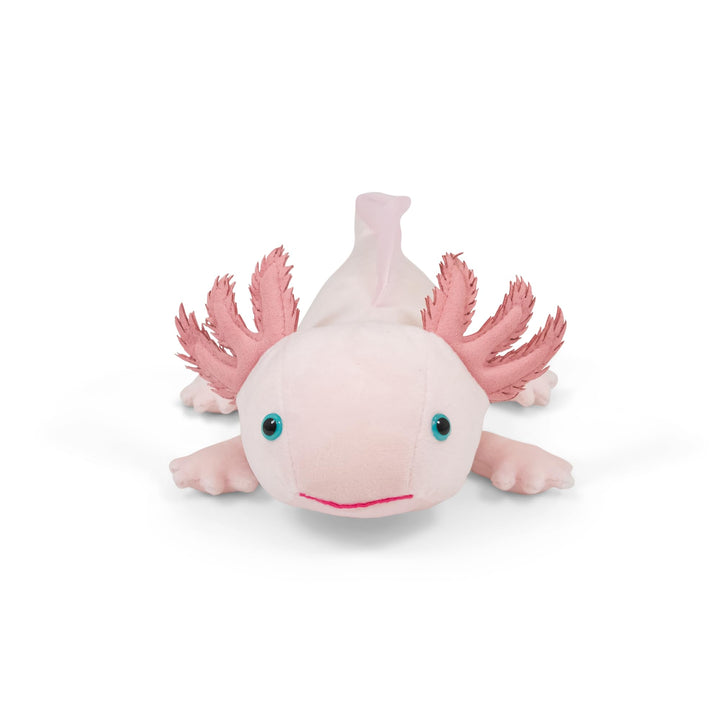 Axolotl