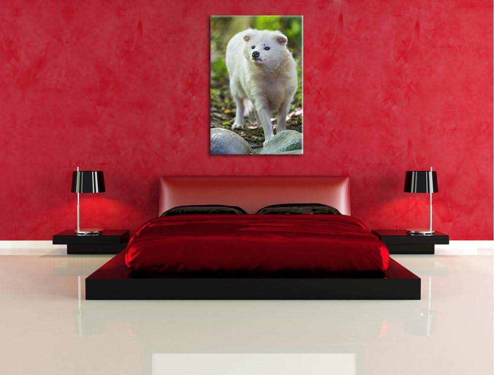 Pixxprint niedlicher Polarfuchs auf Leinwand, XXL riesige Bilder fertig gerahmt mit Keilrahmen, Kuns