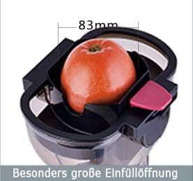 Acopino Delikato Entsafter – Slow Juicer mit leiser Technologie, schonende Saftherstellung für Obst