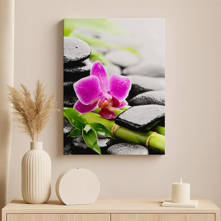 Bilder auf Leinwand Pflanze Steine Bambus Spa Leinwandbild mit Rahmen 45x80cm Wandbilder Dekoration