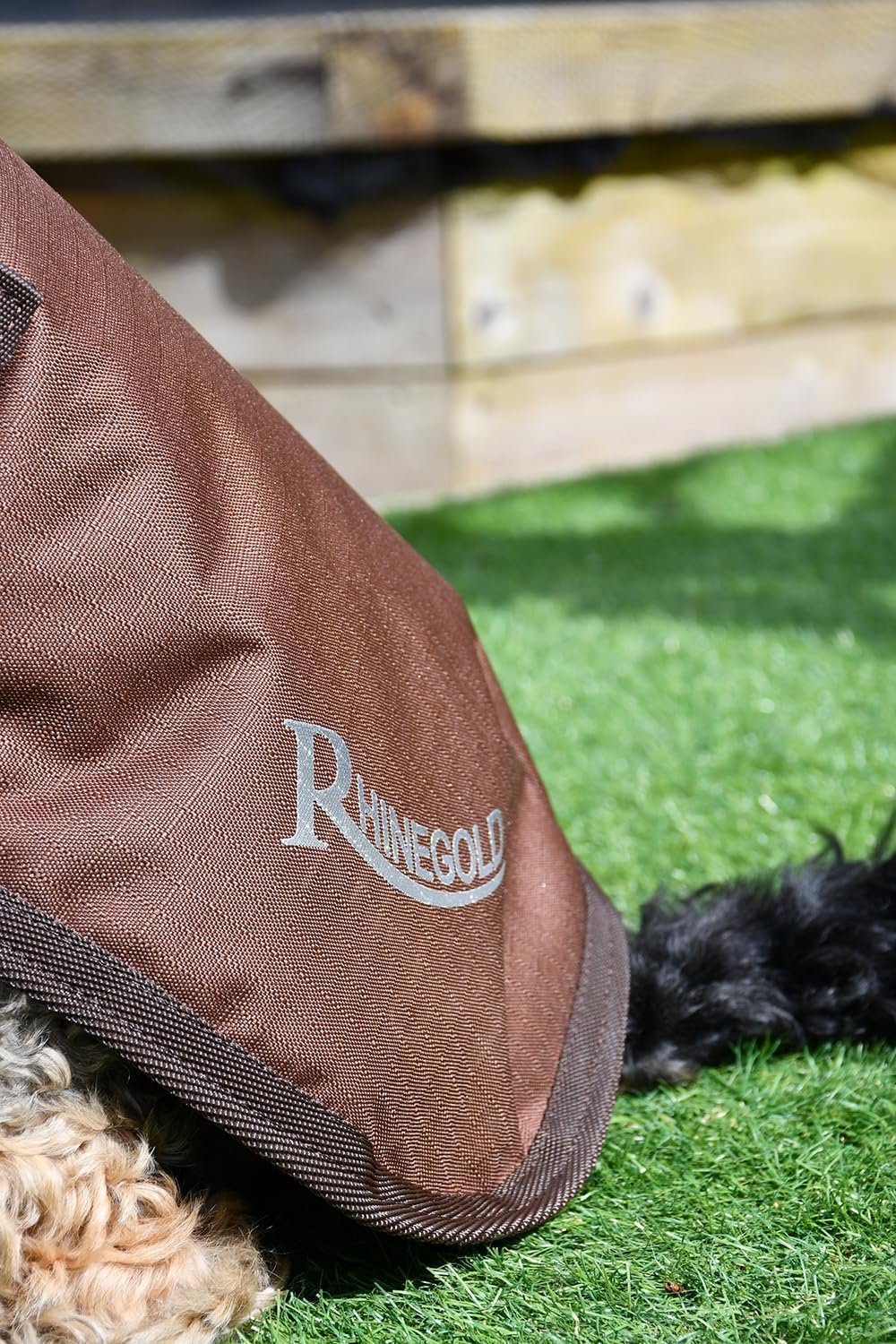 Rhinegold Hundemantel, wasserdicht, 65 cm, Braun braun 26" (65cm), braun 26" (65cm)