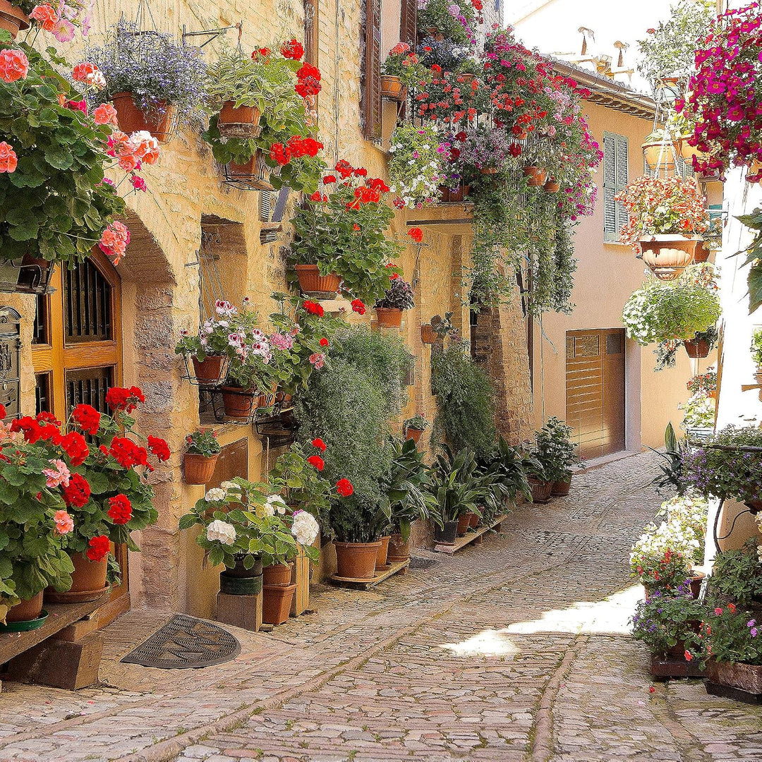 Runa Art Wandbilder Mediterran Italien Bild XXL Wohnzimmer Schlafzimmer Braun Provence Gasse 120 x 8
