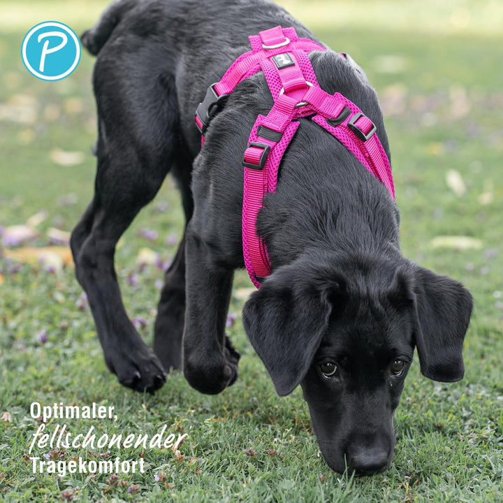 Petlando Hundegeschirr gepolstert, Mesh Y-Comfort, weich, stufenlos verstellbar, besonders leicht &amp;