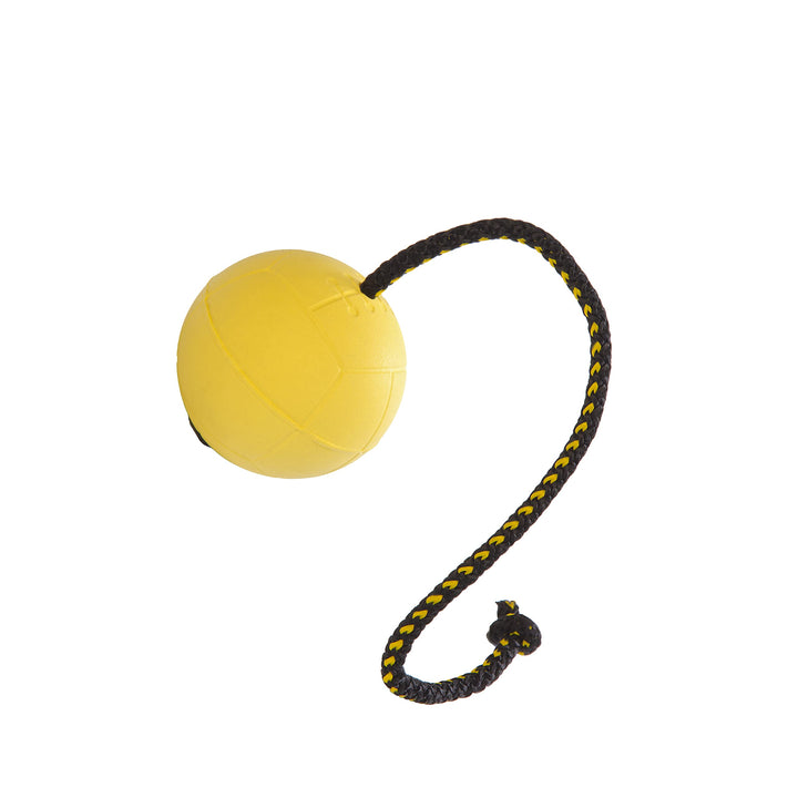 Dingo Gear Ball für Training 