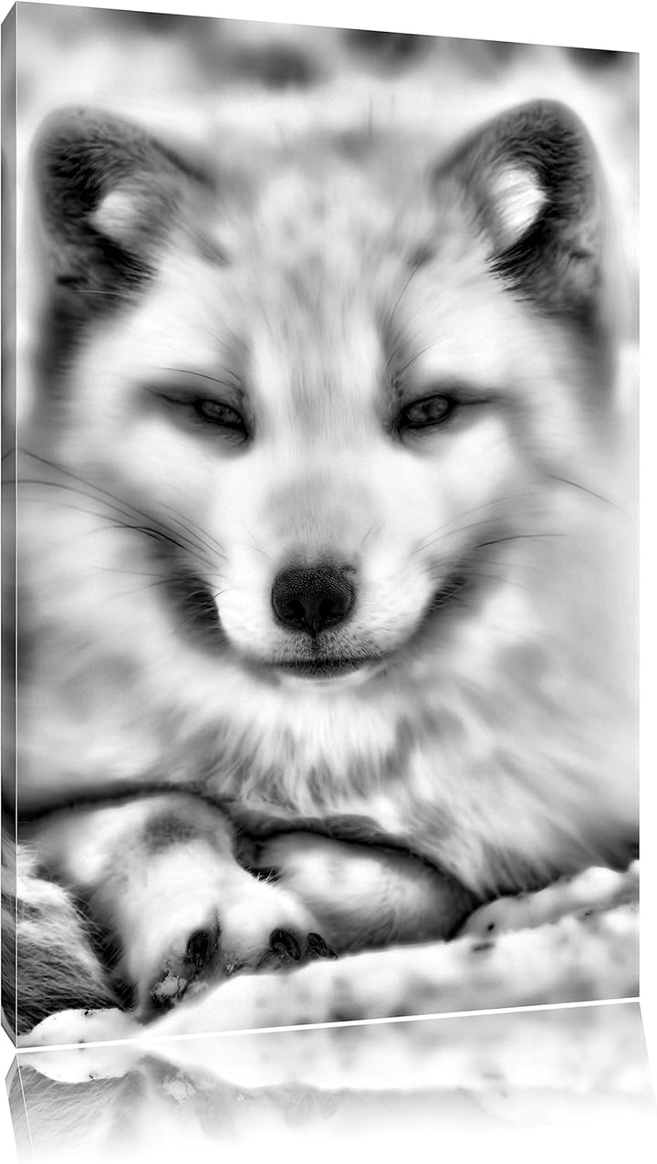 Monocrome, Weisser Fuchs, Format: 100x70 auf Leinwand, XXL riesige Bilder fertig gerahmt mit Keilrah