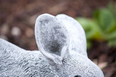 stoneandstyle Steinfigur Hase Langohr, Frost- und wetterfest bis -30°C, massiver Steinguss