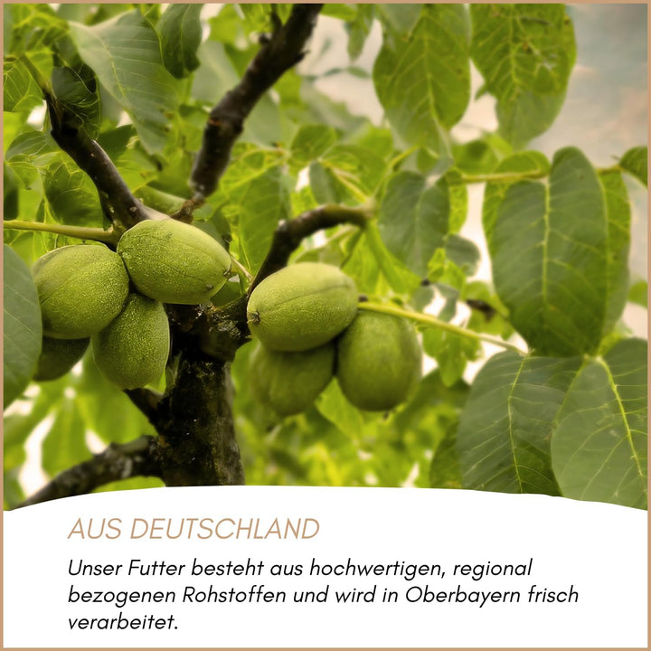 Supravit Artgerechtes Eichhörnchen Futter 1kg | Ausgewogenes Eichhörnchen-Futter mit Haselnüsse & Wa