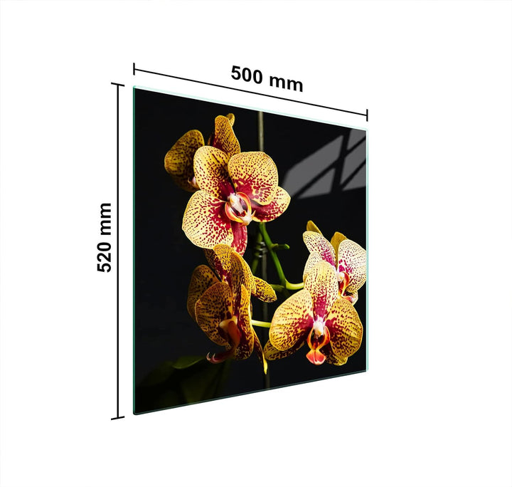 DarHuas Herdabdeckplatte 50x52 cm 1-teilig Ceranfeldabdeckung Induktion Herdschutz Spritzschutz Glas