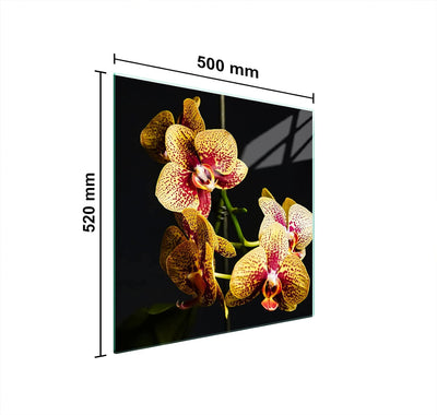 DarHuas Herdabdeckplatte 50x52 cm 1-teilig Ceranfeldabdeckung Induktion Herdschutz Spritzschutz Glas