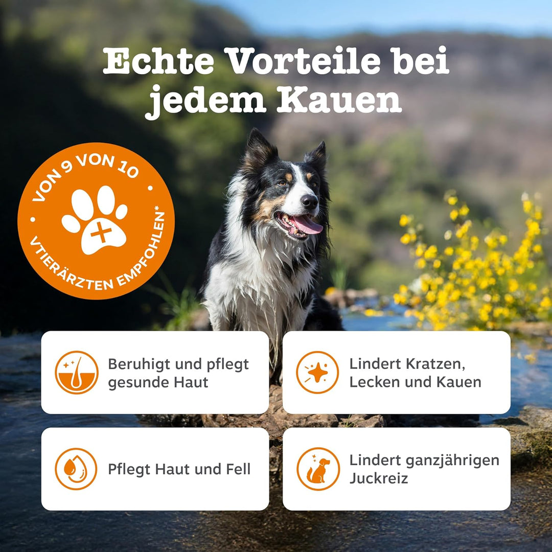 Zesty Paws Allergy Immune Supplement for Dogs Saumon, Saumon