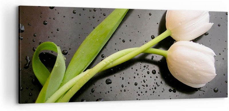 Wandbilder Dekoration Wohnzimmer Tulpen Blume Pflanzung Pflanze Panorama Bilder auf Leinwand 120x50c