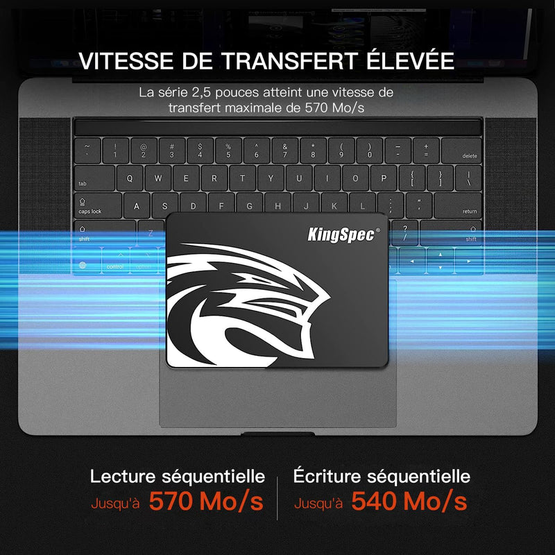 KingSpec 1TB 2.5" SATA SSD Festplatte Intern SATA 3 interne SSD 3D NAND Flash, kompatibel mit Deskto