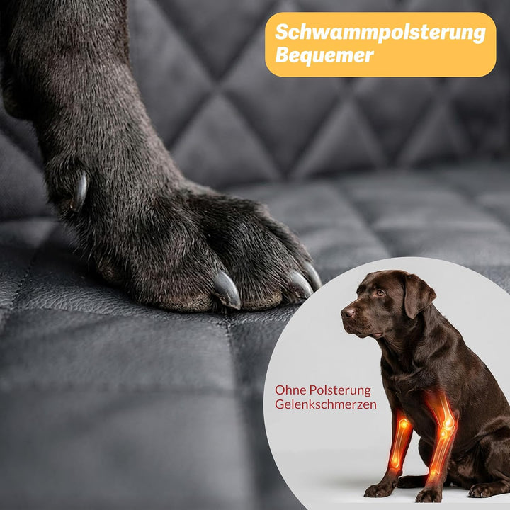 Dog Car Seat Back Seat for Small Medium Dogs Autositz für Hunde, Rückenlehne für kleine bis mittelgr