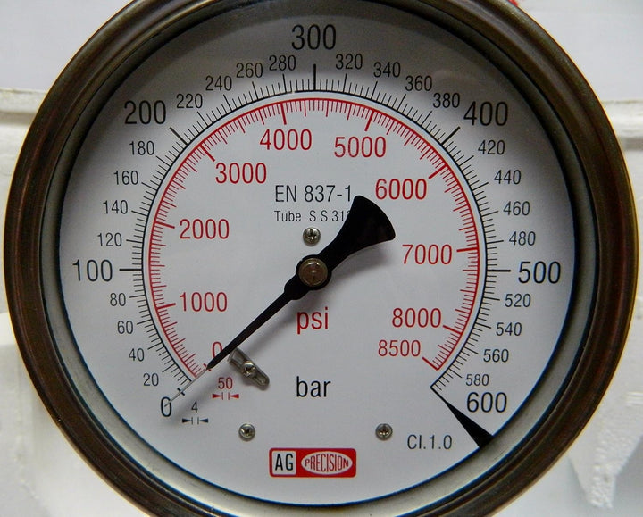 AG Neovo Diesel Injector Nozzle Pop Tester mit 600 BAR / 0-8500 PSI Dual Scale Gauge