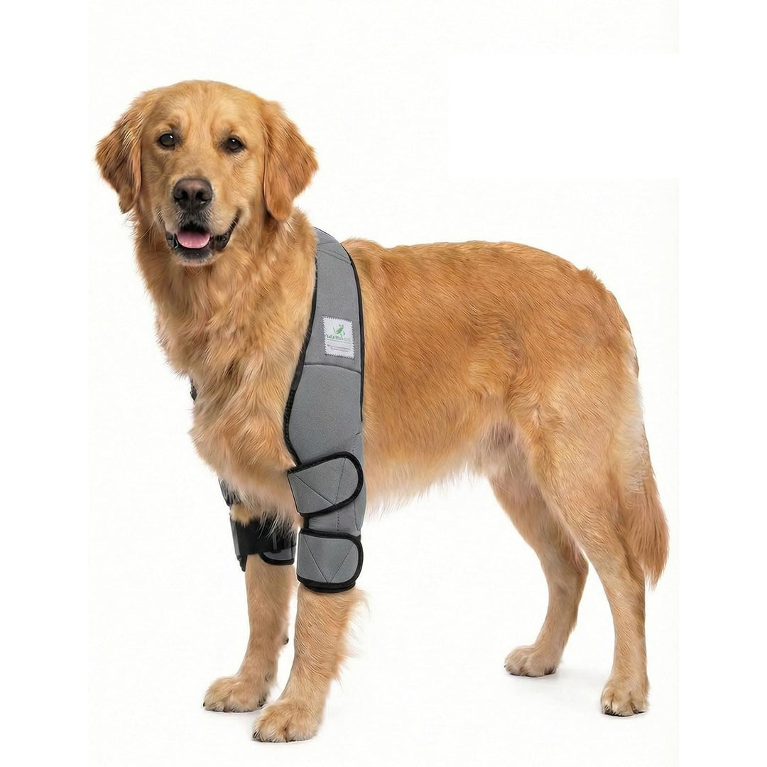 Nature Pet ® Ellenbogenbandage Hund/Ellenbogenschoner mit Netzeinsatz für Kühl- oder Wärmepads ideal