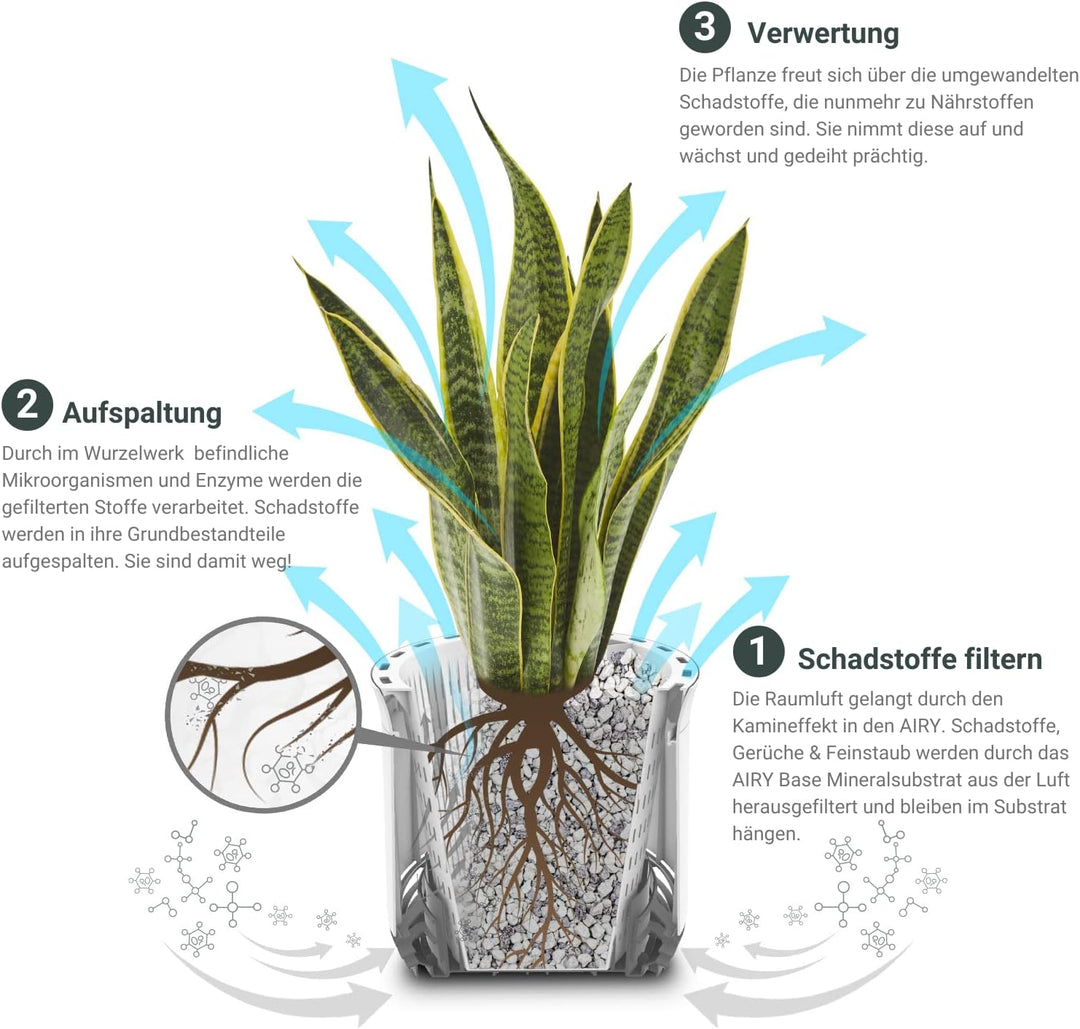 AIRY Pot M mit 6L Airy Base Substrat • Biologischer Luftreiniger filtert Schadstoffe, Allergene & Ge