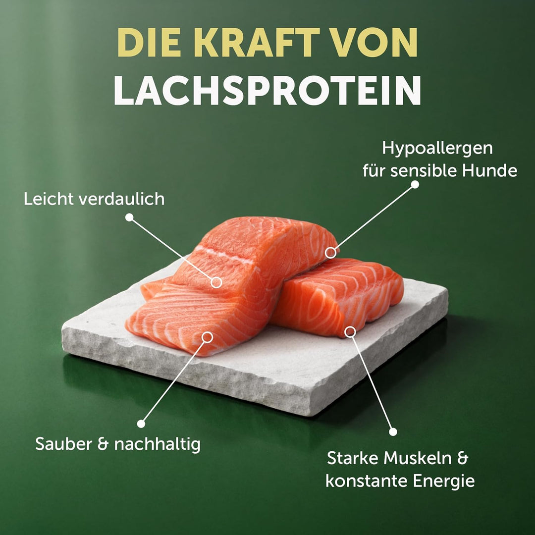 Nature's Protection Superior Care Hundefutter Trocken Getreidefrei für Kleine & Mini-Rassen - Hypoal