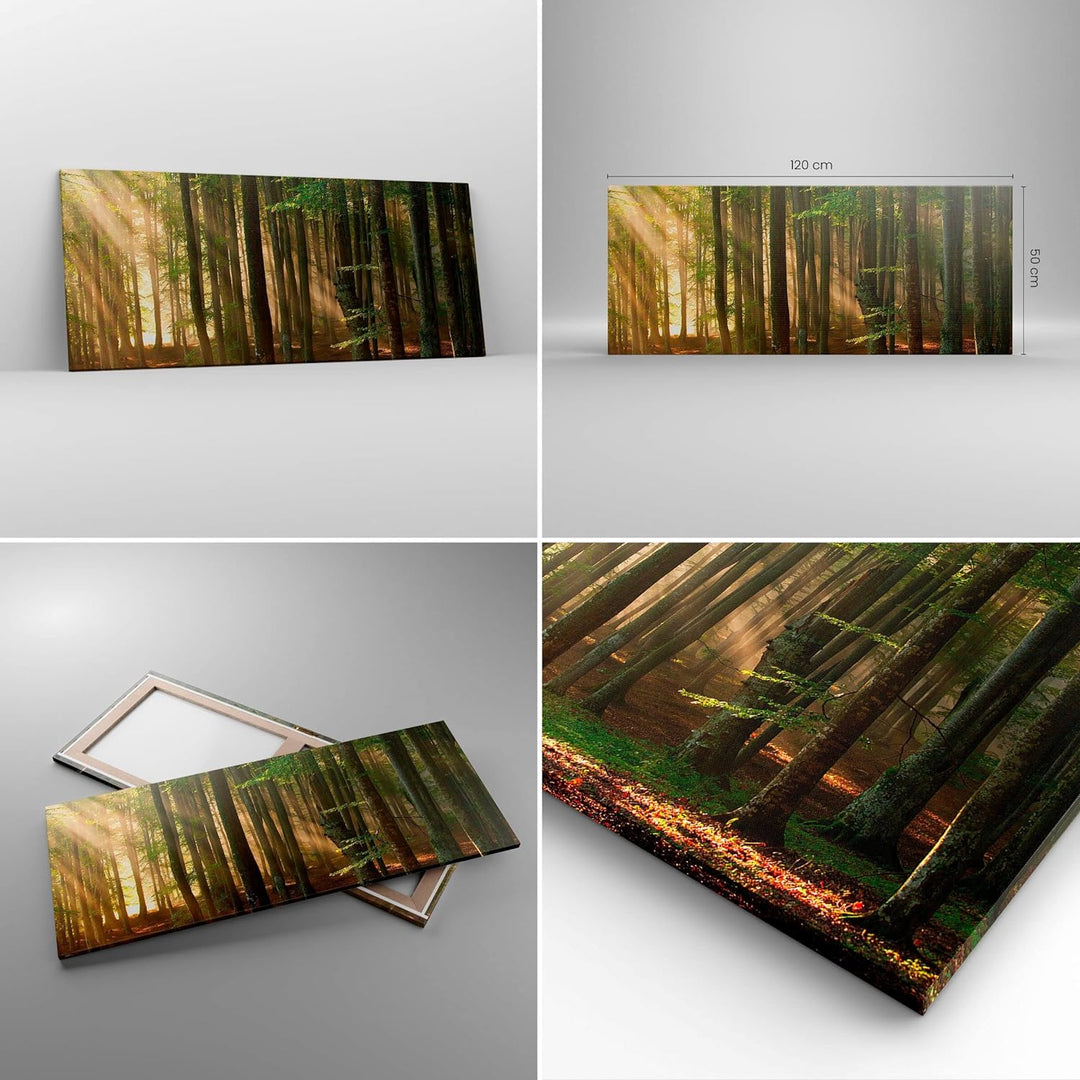 Wandbilder Dekoration Wohnzimmer Wald Baum Natur Panorama Bilder auf Leinwand 120x50cm Leinwandbild