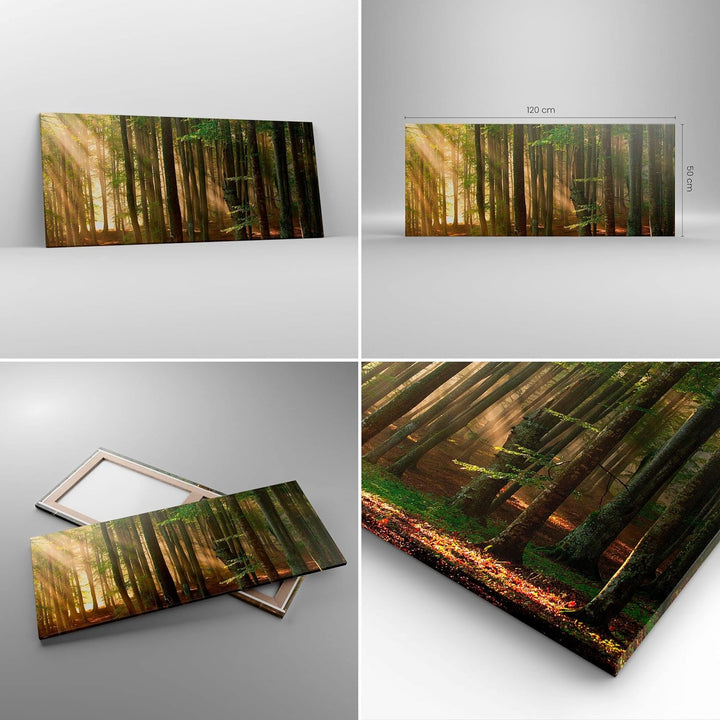 Wandbilder Dekoration Wohnzimmer Wald Baum Natur Panorama Bilder auf Leinwand 120x50cm Leinwandbild