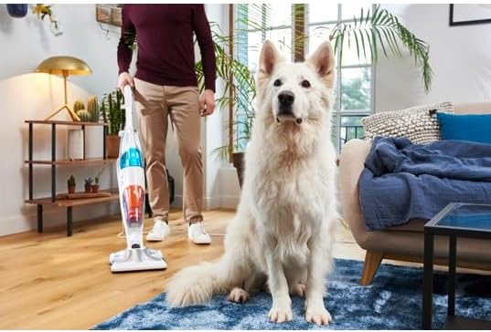 Rowenta Clean & Steam Multi Dampfstaubsauger RY8544 | Gleichzeitig saugen und wischen | Abnehmbares