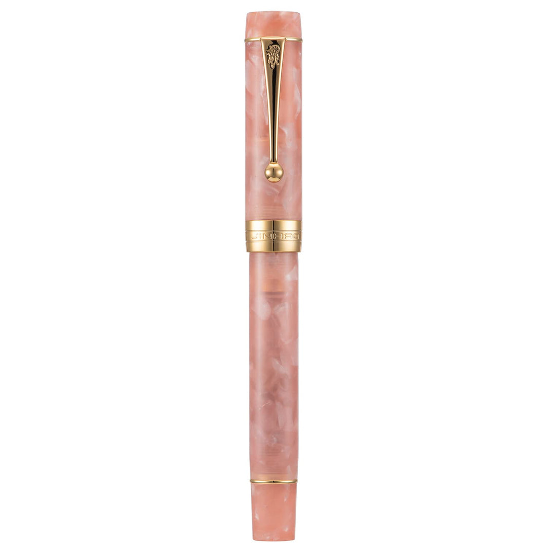 Jinhao Classic Füllfederhalter Pink, extra feine Feder mit Konverter und Stifteetui Set Pink Marble