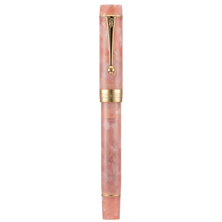 Jinhao Classic Füllfederhalter Pink, extra feine Feder mit Konverter und Stifteetui Set Pink Marble