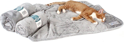 PetFusion Premium Plus Haustierdecke, gesteppt, Verschiedene Grössen für Hunde und Katzen., Small (3