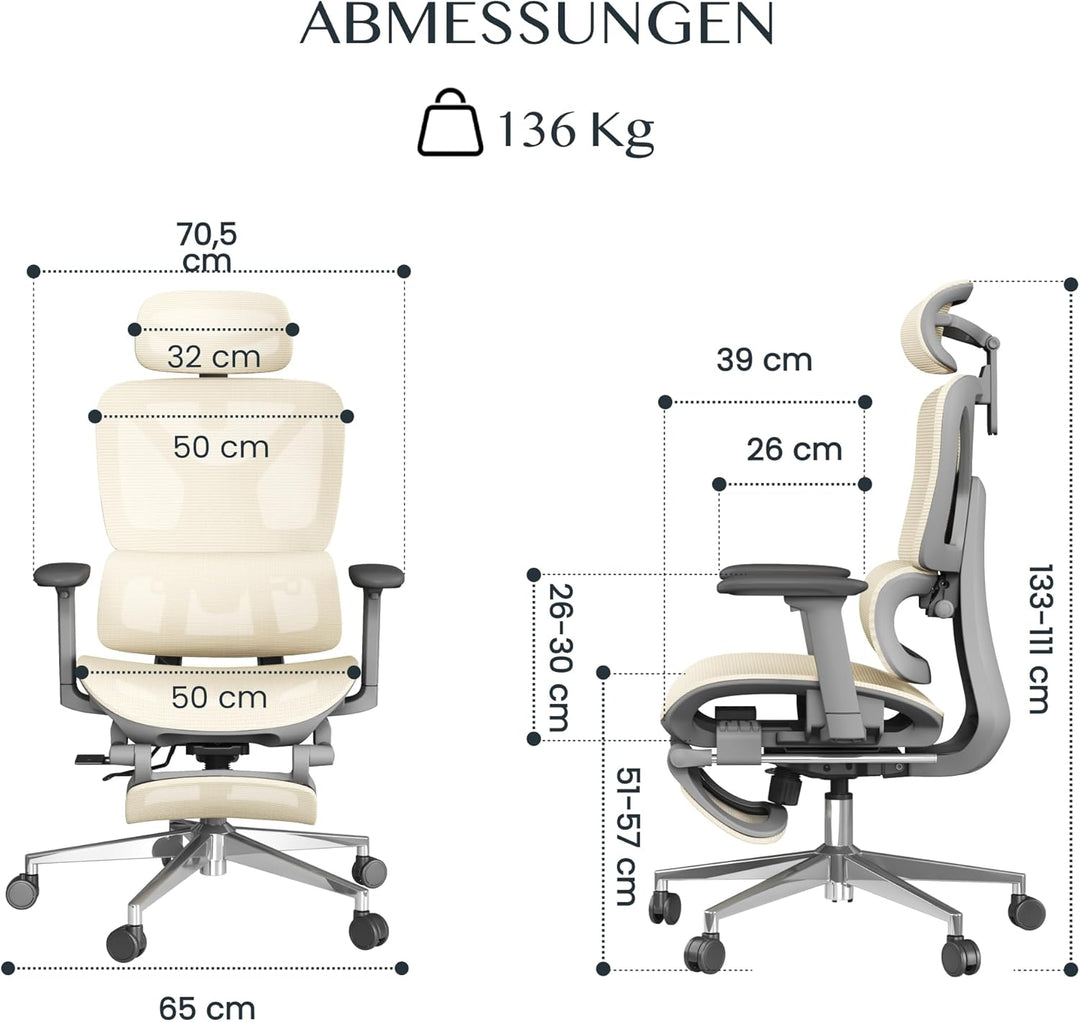 FLEXISPOT ErgoX Ergonomischer Bürostuhl mit Fussstütze Schreibtischstuhl, 3D-Armlehnen, 3D-Kopfstütz