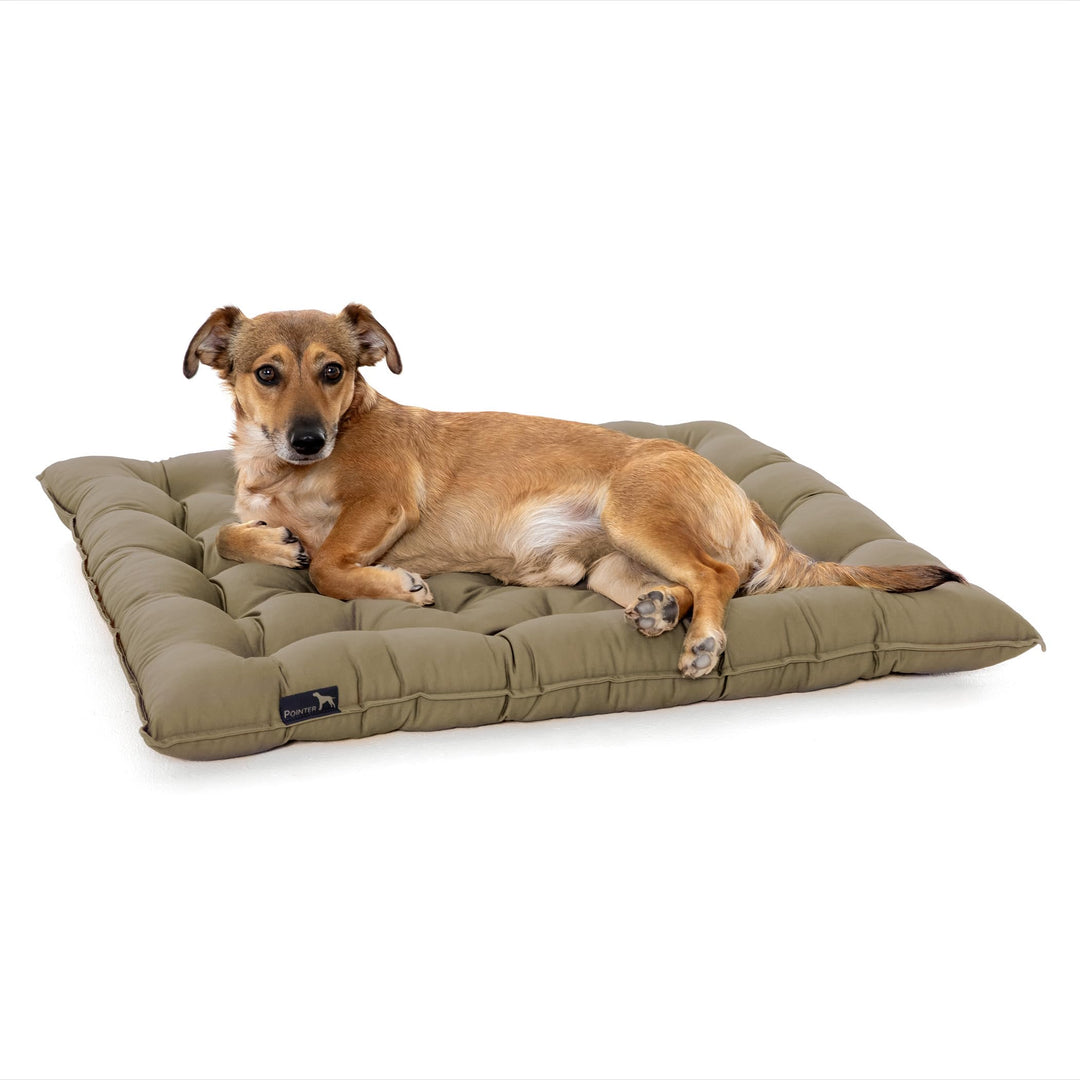 Doctor Bark Pointer | Hundekissen Urban - orthopädisch, waschbar, robust, bequem (XXL - 80x70 cm, Go