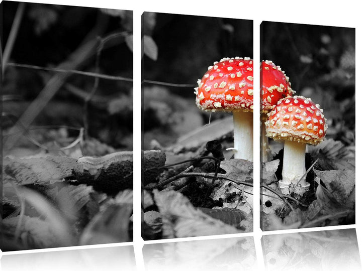 zwei kleine Fliegenpilze im Wald schwarz/weiss 3-Teiler Leinwandbild 120x80 Bild auf Leinwand, XXL r