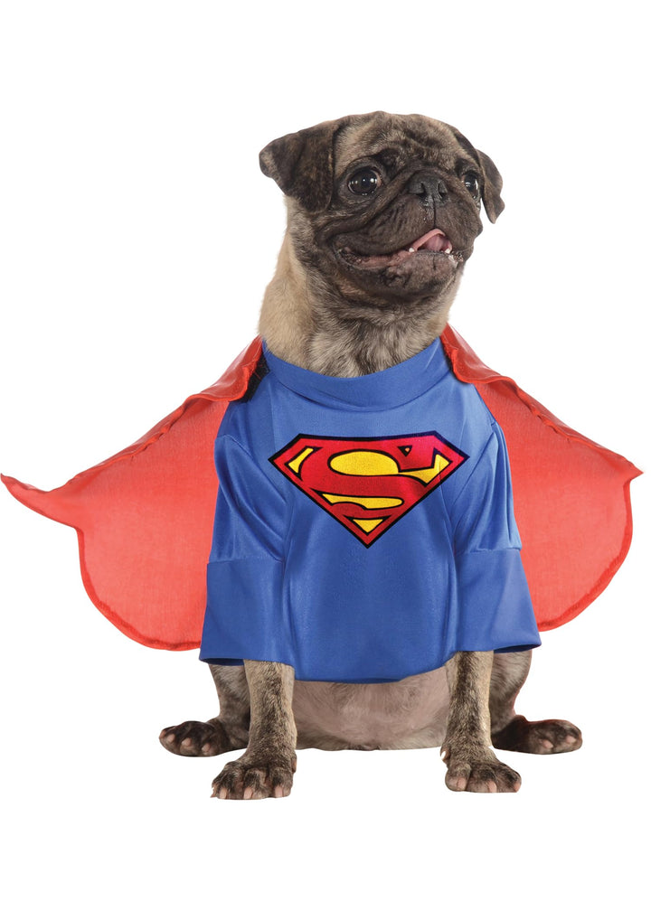 DC Comics Haustierkostüm Superman, gross Large (Pack of 1), Large (Pack of 1)