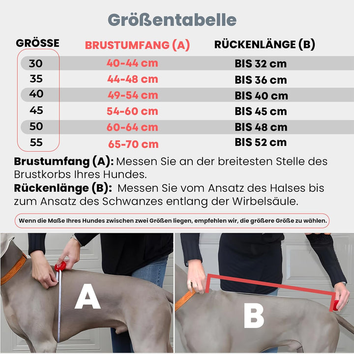 DOGOPAL Regenmantel Hund mit Integriertem Geschirr – Wasserdichter Hunderegenmantel, Winddichter Hun