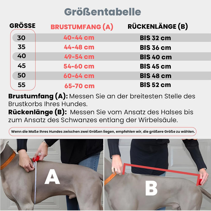 DOGOPAL Regenmantel Hund mit Integriertem Geschirr – Wasserdichter Hunderegenmantel, Winddichter Hun