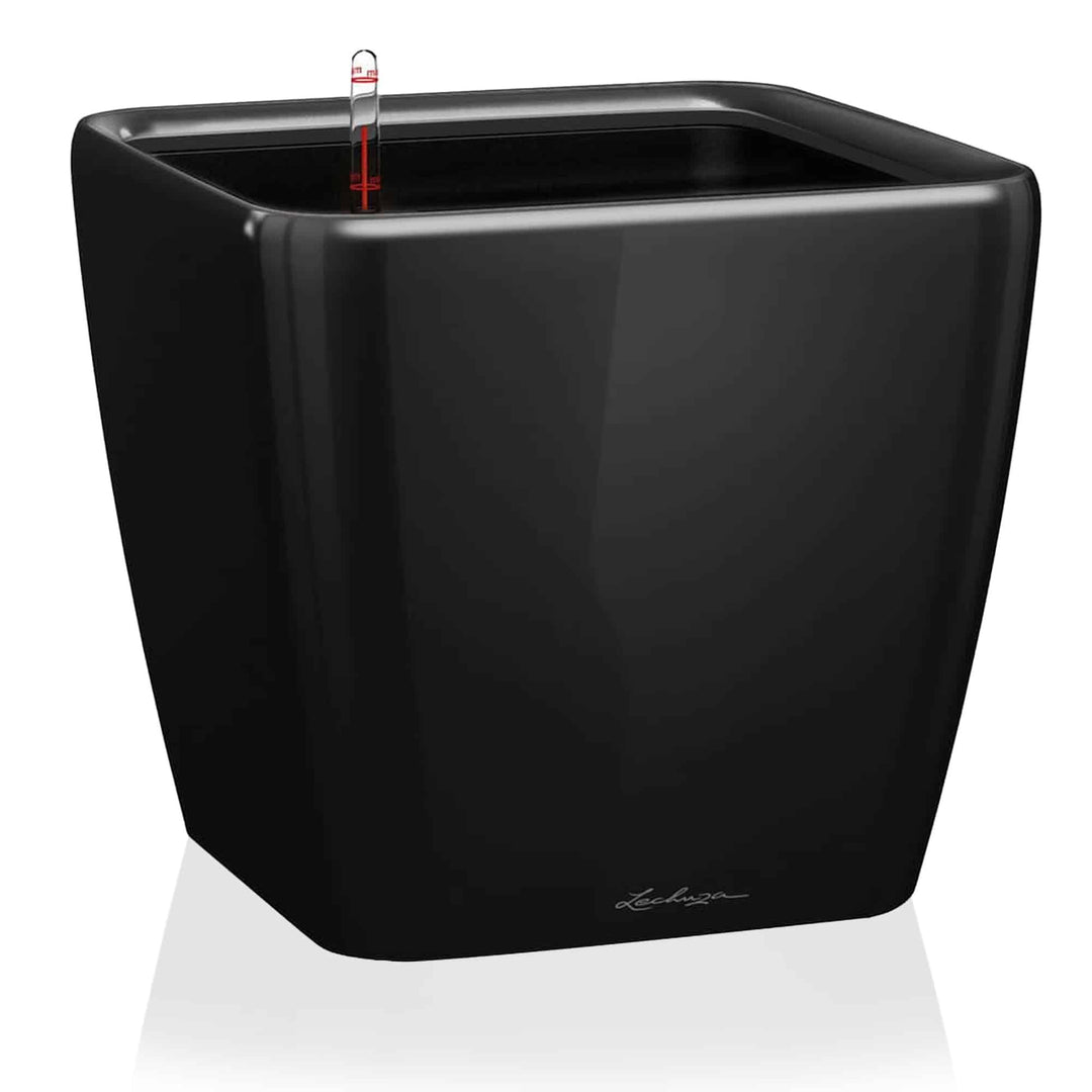 Lechuza Quadro Premium 21 LS - Komplettset Schwarz 22.5x22.5x20.5 cm Schwarz Hochglanz, 22.5x22.5x20