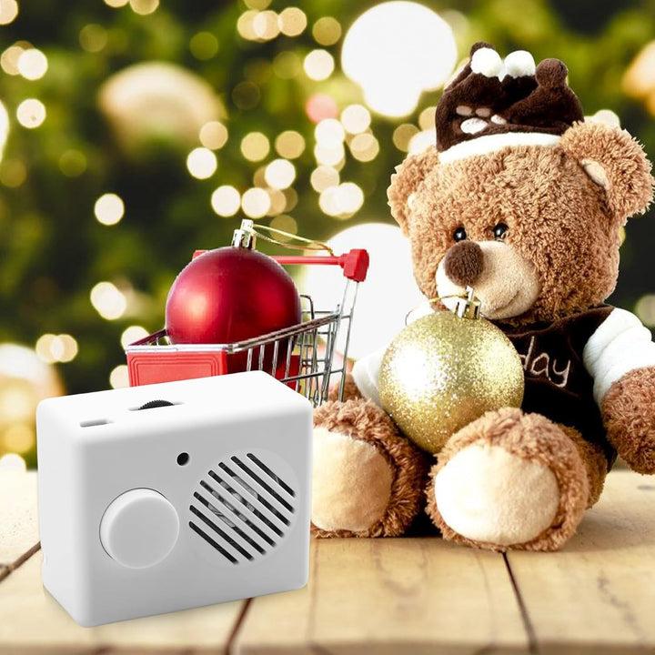 2 Stück Diktiergerät für Stofftiere 360s Soundmodul mit Aufnahmefunktion Mini Diktiergerät Spielzeug