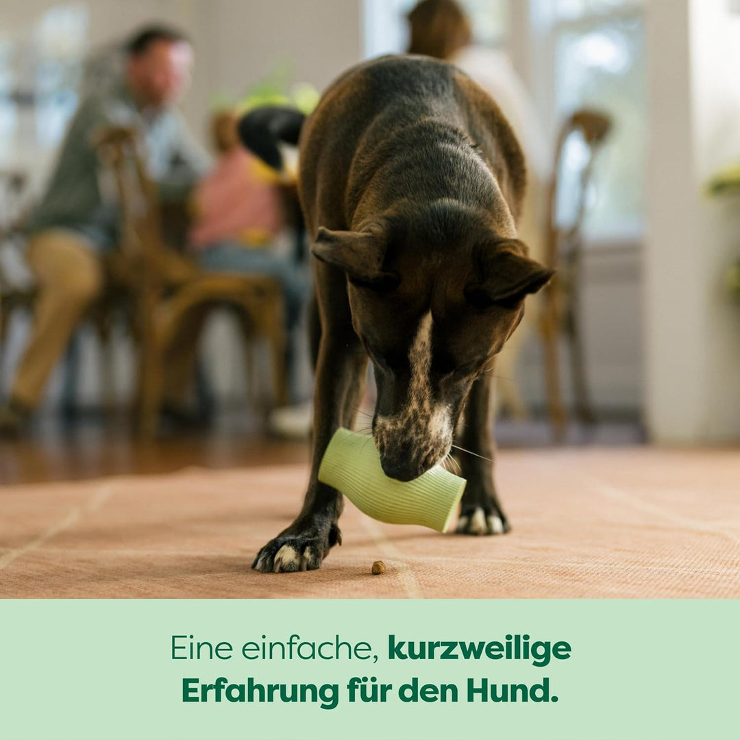 Earth Rated Leckerlihalter, bereicherndes Spielzeug für ausgewachsene Hunde und Welpen, geeignet für