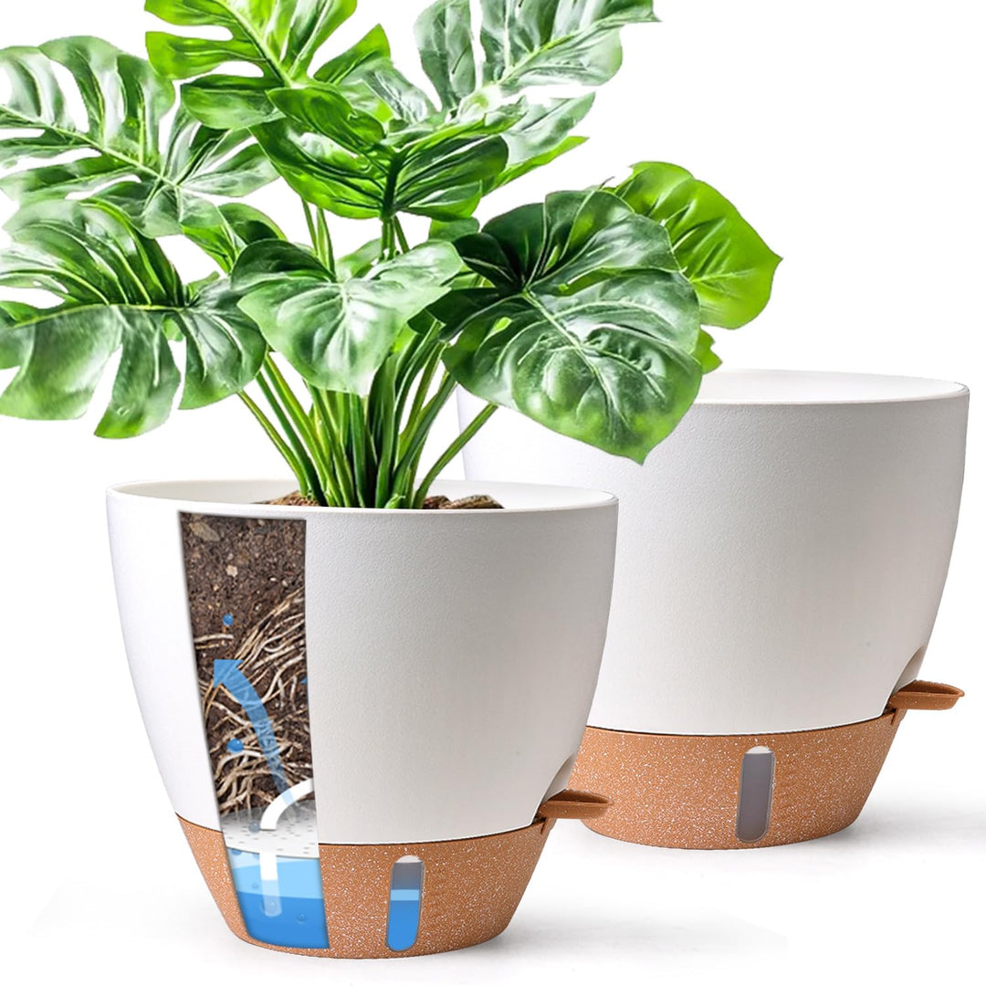 T4U 2er Set 25cm Selbstbewässernder Blumentopf mit Wasserstandsanzeige, ideal für Geigenfeige & Mons