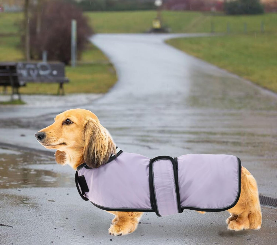 Geyecete Hunde Regenmantel,Einstellbar Wasserdicht Hundejacke für Dackel,Regenmantel mit reflektiere